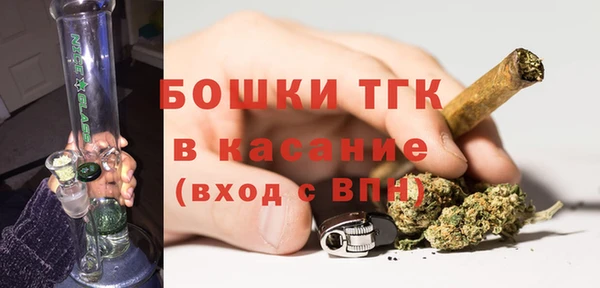 эйфоретик Арсеньев