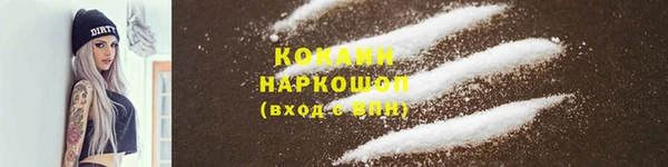 стаф Аркадак