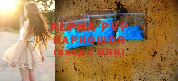 стаф Аркадак