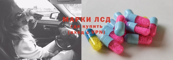 стаф Аркадак