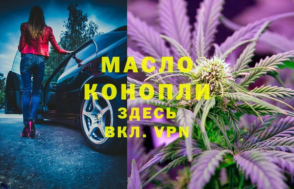 стаф Аркадак