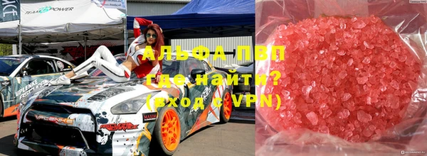 стаф Аркадак