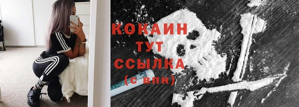 стаф Аркадак