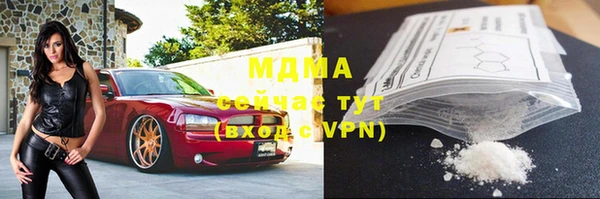 стаф Аркадак