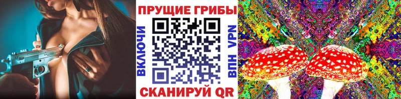 Галлюциногенные грибы ЛСД  Иннополис 