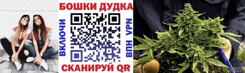 Бошки Шишки VHQ Иннополис